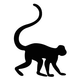 Monkey Silhouette | Silhouette of Monkey