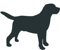 Silhouette pictures, Pets and Silhouette