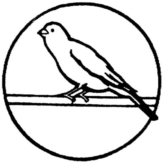Flying Canary Bird Outline coloring page | Super Coloring