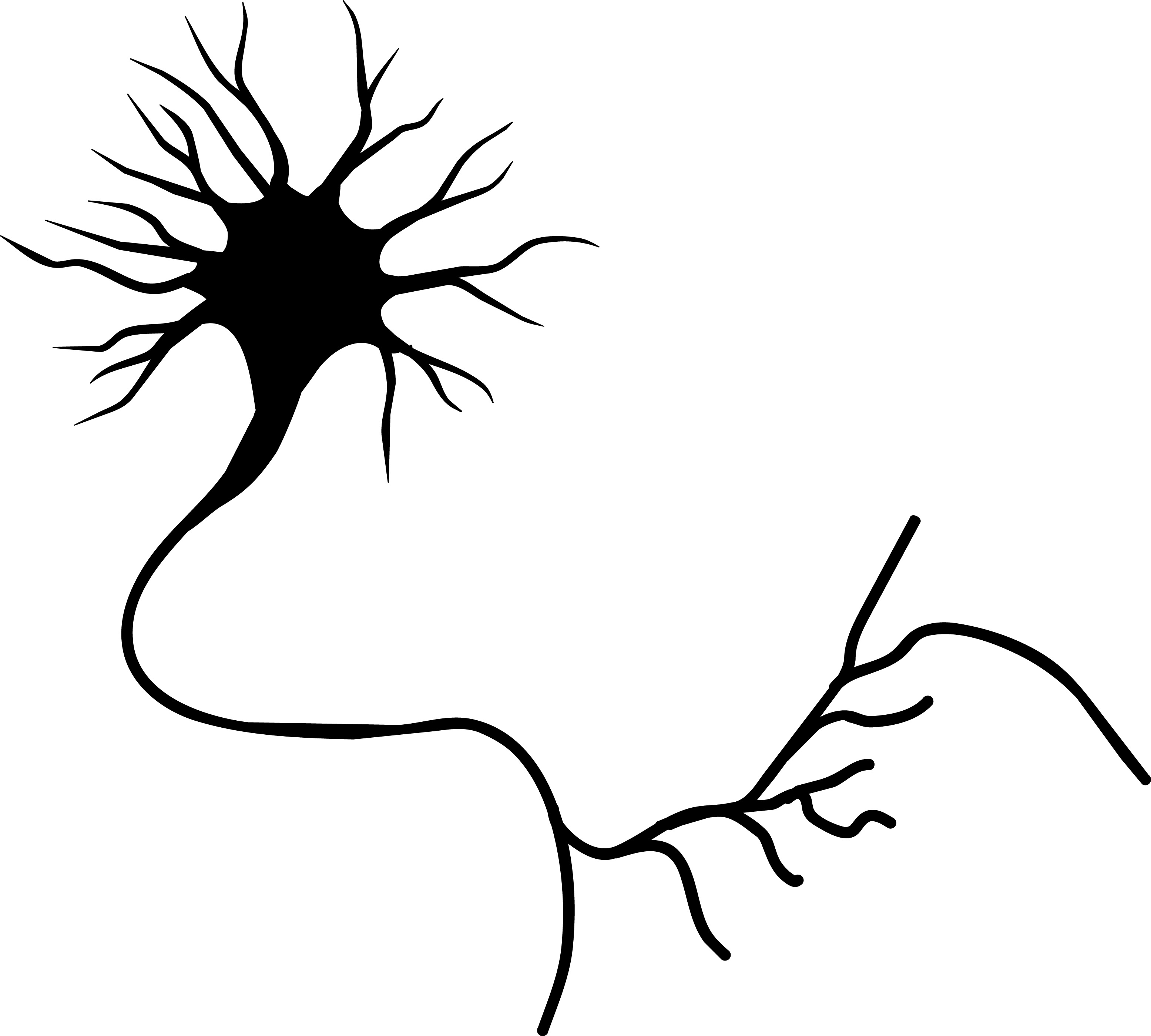 neurons : Bipolar Network News