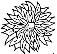Flower Stamps