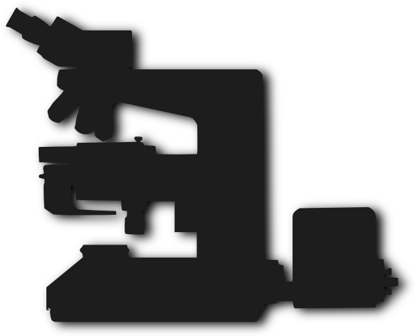 Label Microscope Diagram Download As Doc