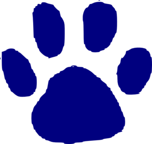 Cougar Animal Clip Art Videos Video Codes