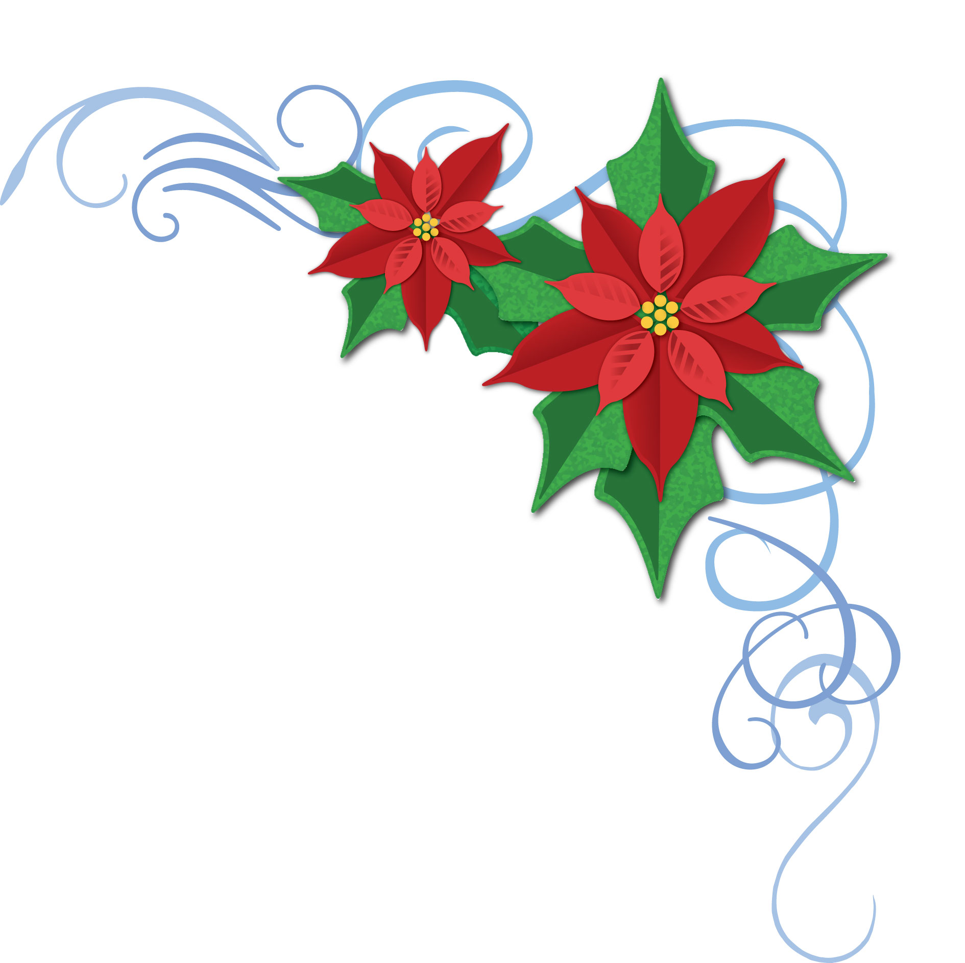 Christmas poinsettia clipart