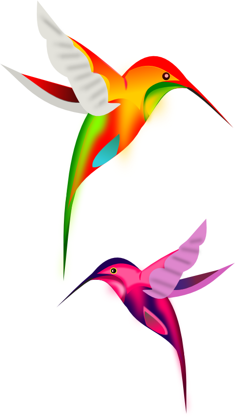 ColibrÃ­es | Vector Clipart