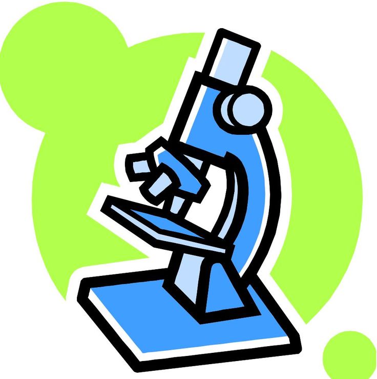 Biology Clipart | Free Download Clip Art | Free Clip Art | on ...