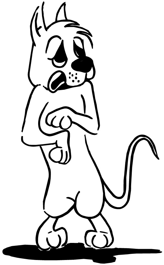 Medications for fearful dogs | Fearfuldogs' Blog