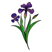 Iris Flower Clip Art Free - Free Clipart Images