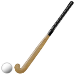 ð?? Field Hockey Stick and Ball Emoji (U+1F3D1)