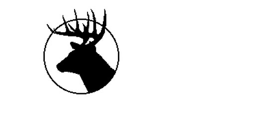White Tailed Deer Clipart