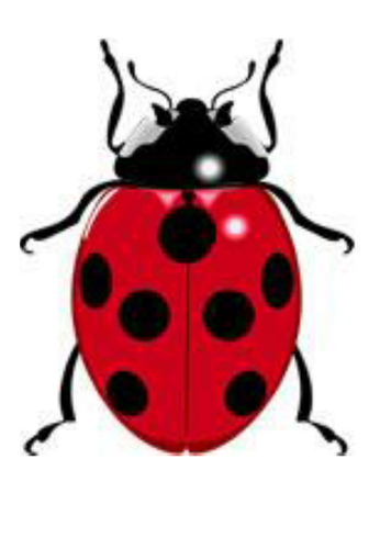 ladybird spots - number bonds to 10 by ktmoggles - Teaching ...