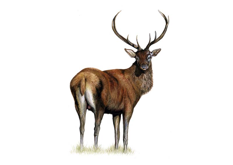 Stag and Hen Parties | Tunde & Buky