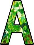 Free Teaching Resources Display Lettering Sets. Printable Alphabet ...