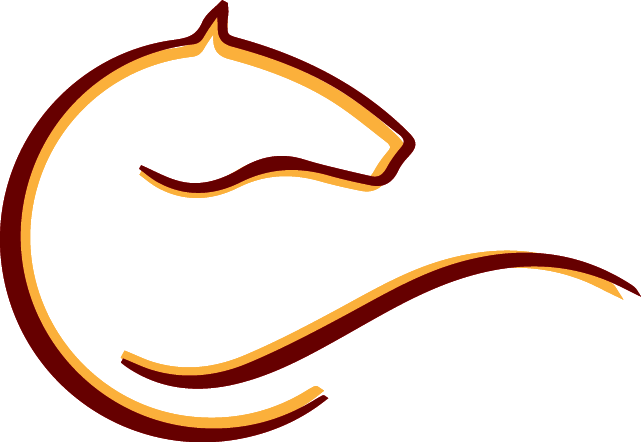 Northeast Horse Sports - Google+