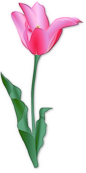 Free Tulip Clipart - Public Domain Flower clip art, images and ...