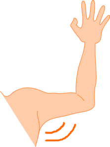 arm-pit-md.png