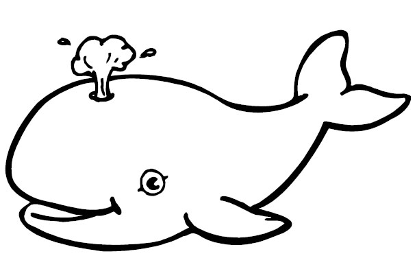 1000+ images about Whale theme | Killer whales ...