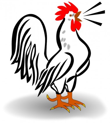 Hahn Free Vector / 4Vector
