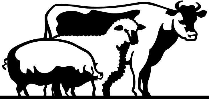 Ffa Clip Art