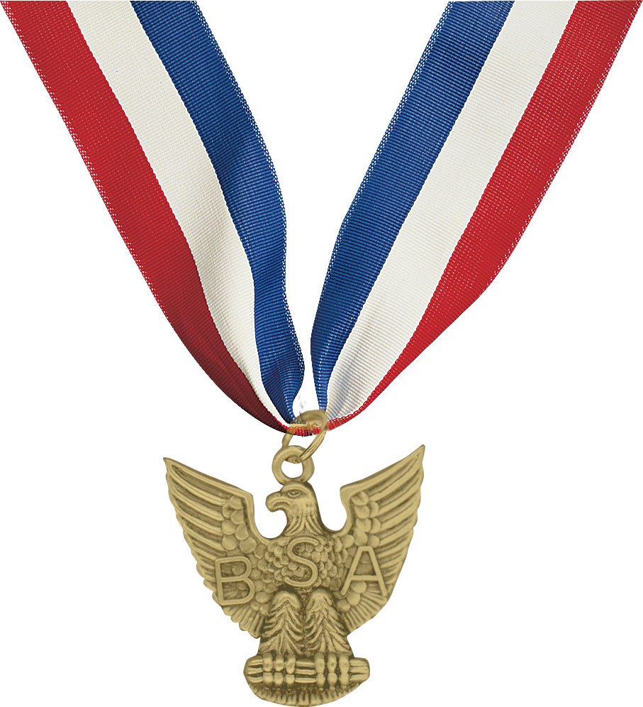 Distinguished Eagle Scout Award