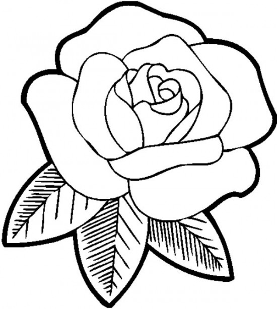 roses coloring pictures coloring pages draw a rose coloring pages ...