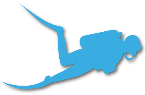 divelogs - Online Dive Logs