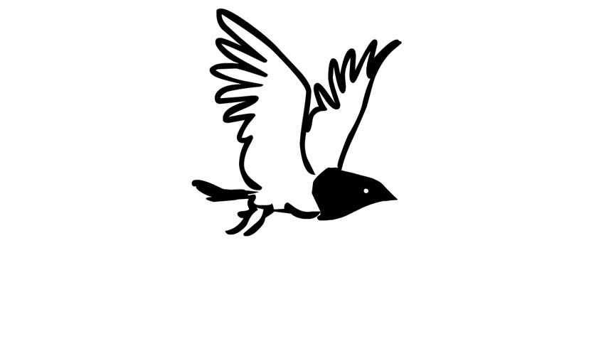 Flying Bird (loop Animation) Stock Footage Video 2362127 ...