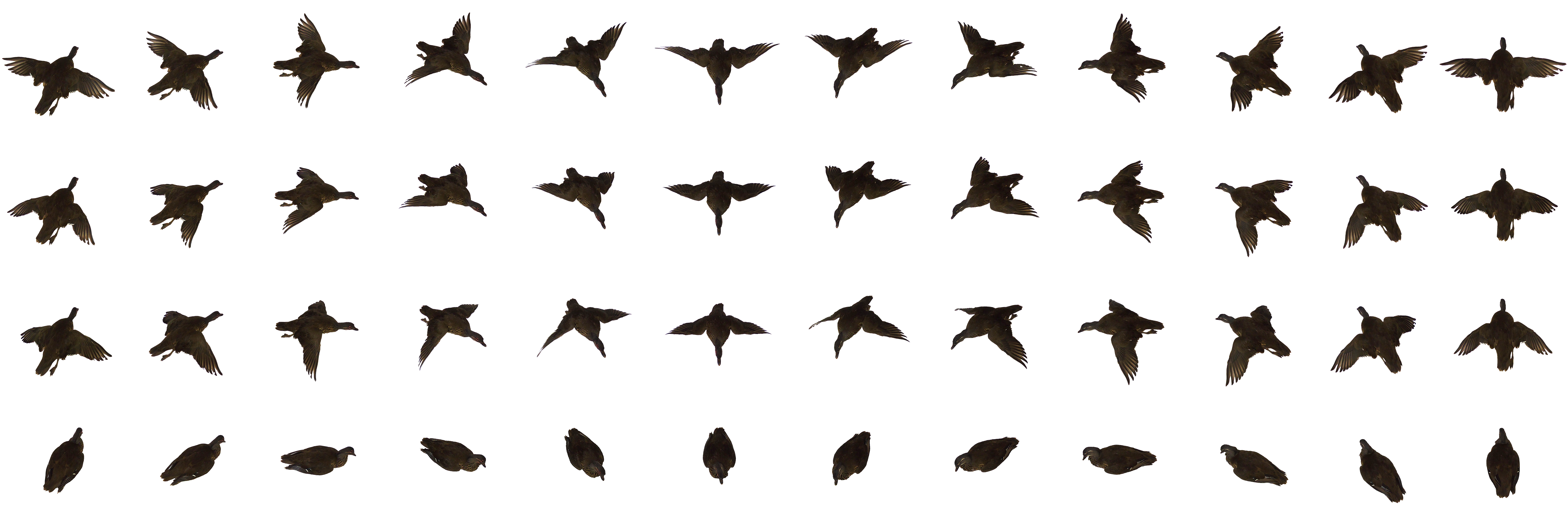 Bird Animation | Free Download Clip Art | Free Clip Art | on ...