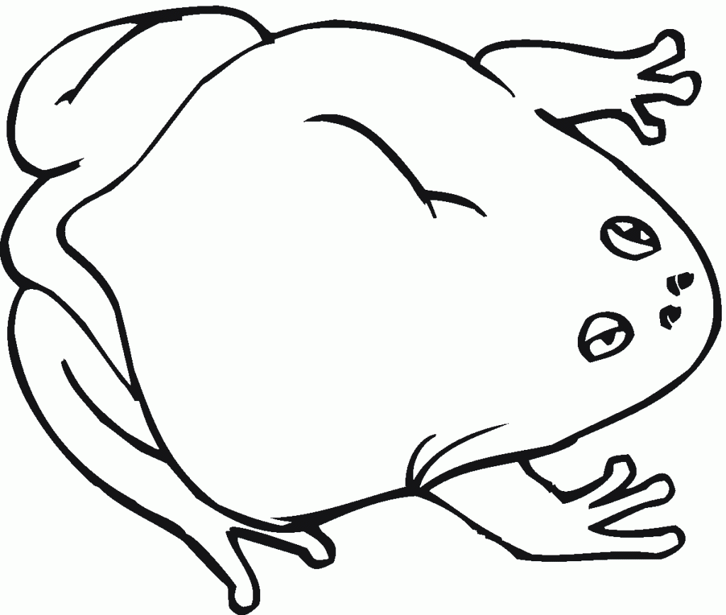 Toad 9 Coloring Page Download - Animal - Creative Art Of Toads ...