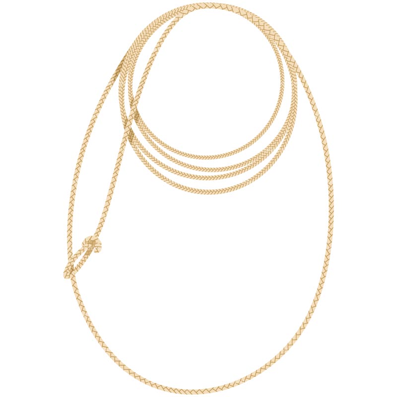 Lasso Clipart | Free Download Clip Art | Free Clip Art | on ...