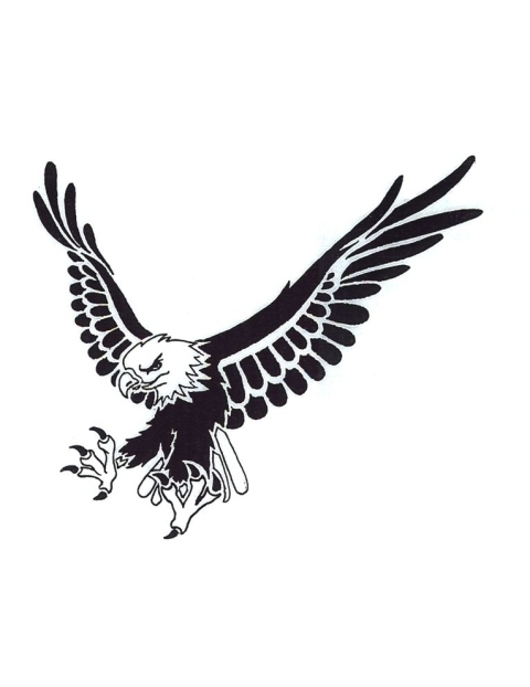 Black And White Eagle