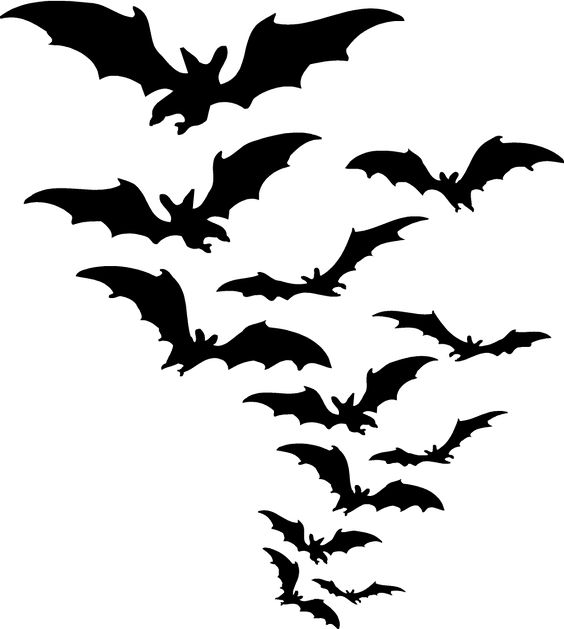 Halloween Bats Clipart - Tumundografico