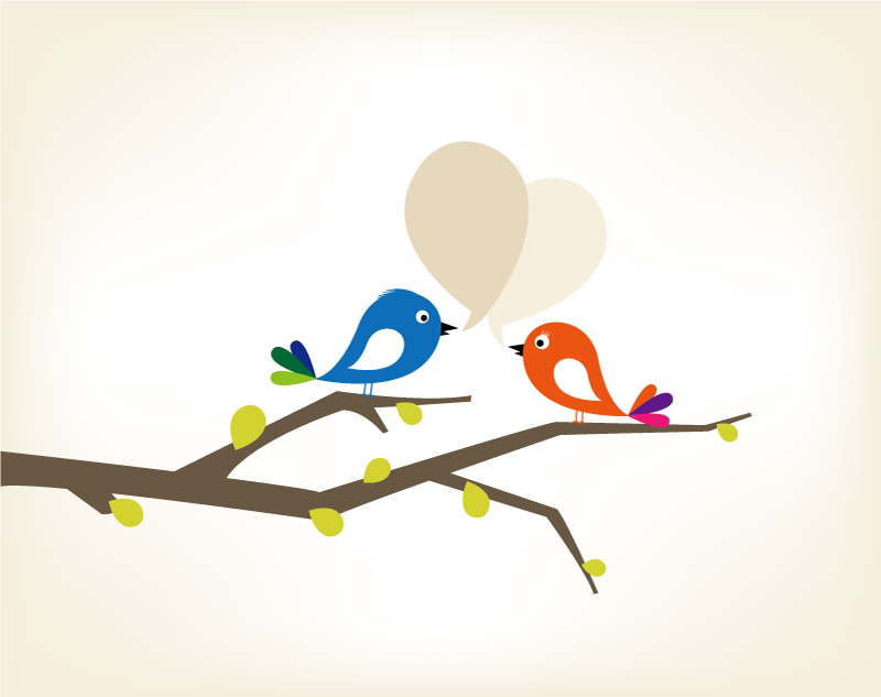 Love Bird Graphic