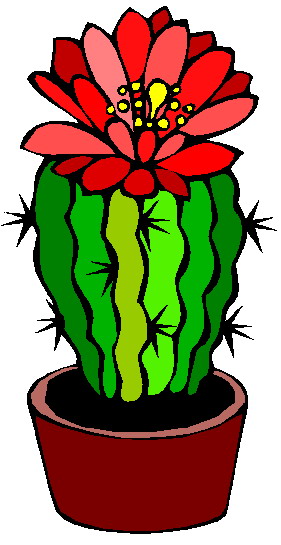 Fiesta cactus clipart clipart 2 - dbclipart.com