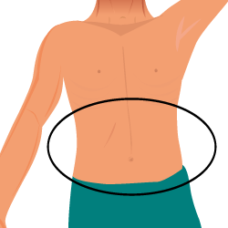 Stomach Diagram | Learn Parts of the Body with Image