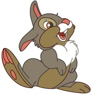 rabbit-8.jpg