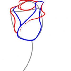 easy-flower-to-draw-3.jpg
