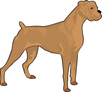 Boxer Vector clip art - Free vector for free download