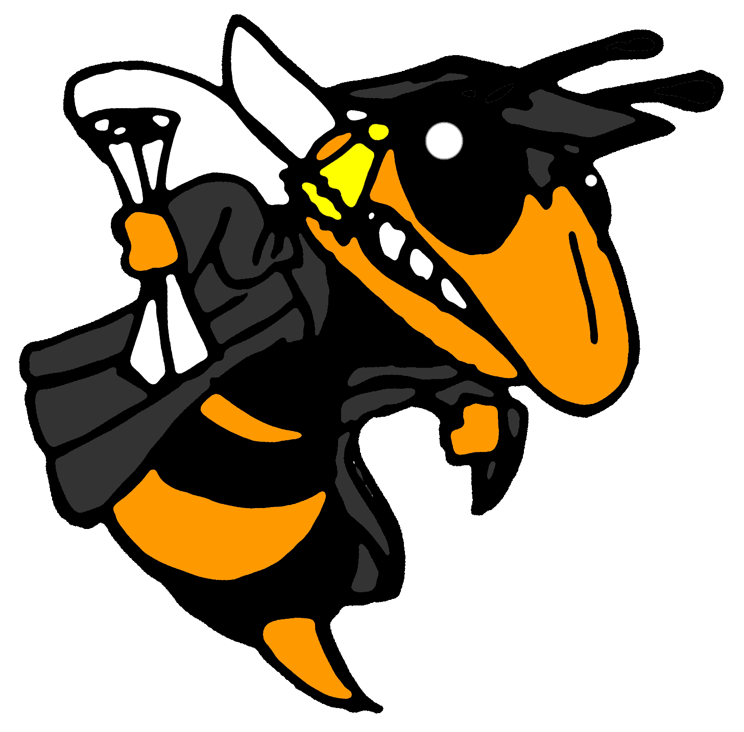 Leesburg High / Overview