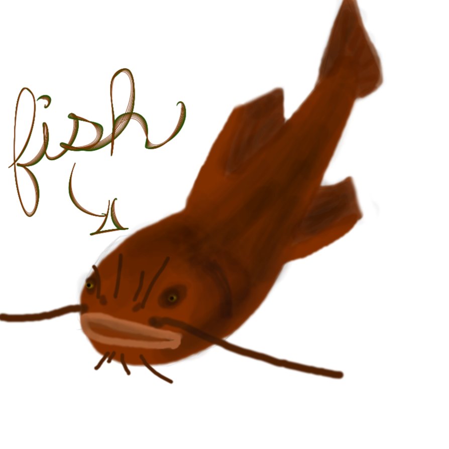 Catfish Drawing