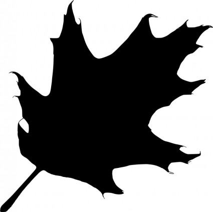 Oak leaf Free vector for free download about (25) Free vector in ...