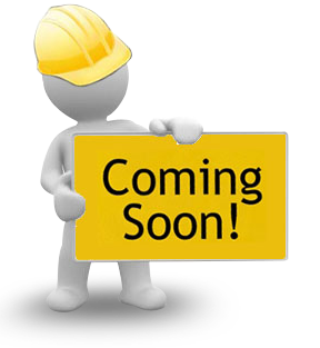 Visiting Professors - Page Under Construction - University of ...