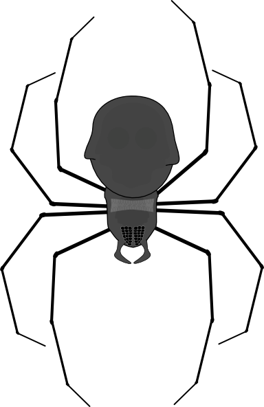 Spider clip art - vector clip art online, royalty free & public domain