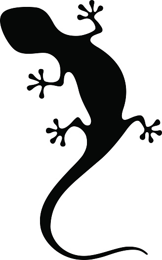 Salamander Clip Art, Vector Images & Illustrations
