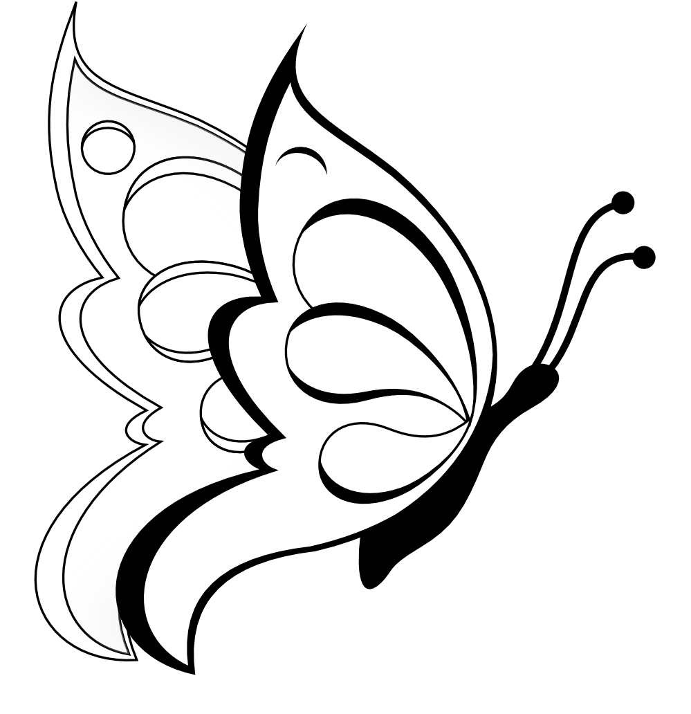 Flower With Butterfly Drawings - ClipArt Best