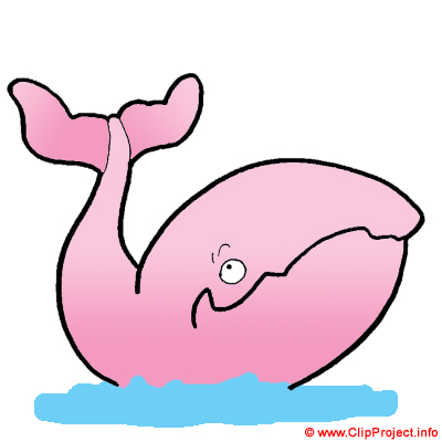 Whale Clip Art free