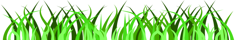 Spring Border Clip Art