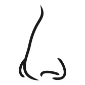 Sense Of Smell Clipart - Free Clipart Images