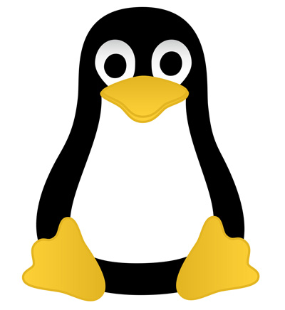 Trying Linux for the First Time: A Beginner's Guide