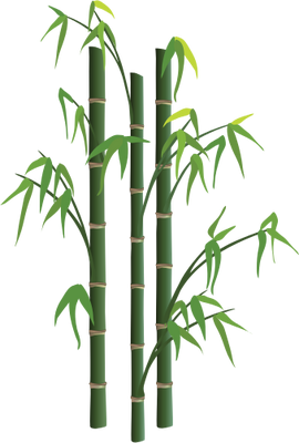 Bamboo 1 - Grasses/Herbaceous Plants - Vector Illustration/Drawing ...